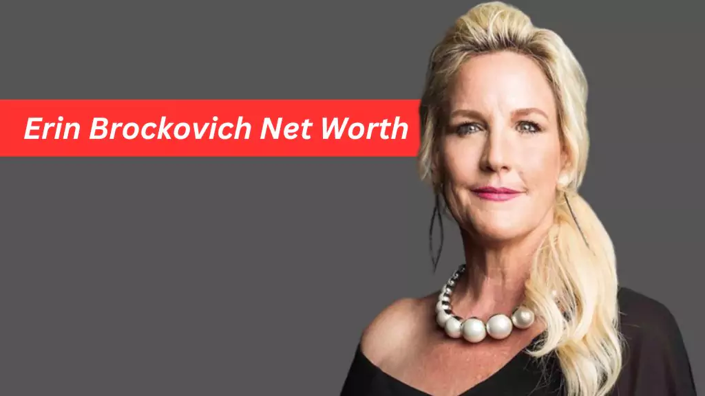 Erin Brockovich Net Worth